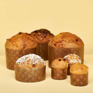 Novacart-Panettone_P